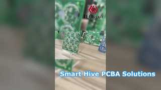 মৌমাছি পালন প্রযুক্তির জন্য কাস্টম PCBA সমাধান
